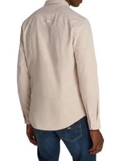 Chemise en coton biologique beige unie avec une coupe slim et un col français