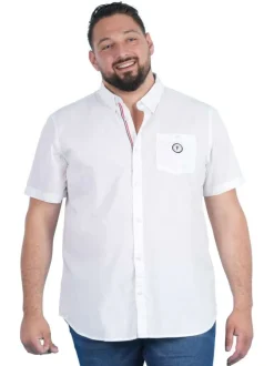 Chemise en coton biologique blanche unie pourvue d'un col américain