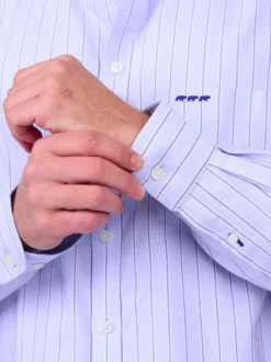 Chemise en coton biologique bleu ciel à rayures avec une coupe droite