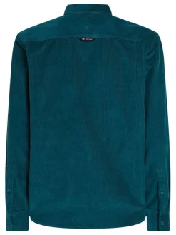 Chemise en coton biologique sapin unie avec une coupe droite et col américain