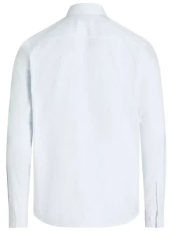 Chemise à manches longues en coton bleue ciel rayée avec une coupe regular fit