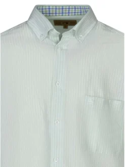 Chemise verte en lin à rayures pourvue avec une coupe droite et un col américain