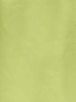 Jupe longue verte unie avec un effet satiné et une coupe longue