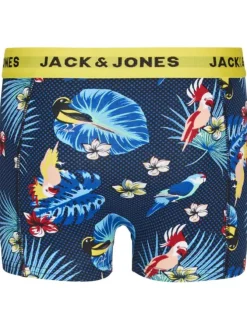 Lot de 3 Boxers classiques en coton multicolores imprimés avec imprimé floral