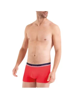 Lot de 2 Boxers classique en coton multicolores unies coupe fermée