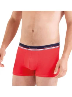 Lot de 2 Boxers classique en coton multicolores unies coupe fermée