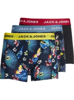 Lot de 3 Boxers classique en coton nuit uni avec une coupe fermée
