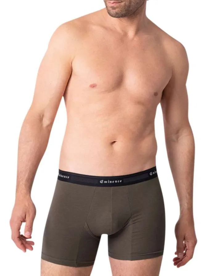 Lot de 2 boxers classiques en coton bicolores unis avec le nom de la marque