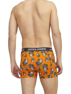 Lot de 3 Boxers classiques en coton multicolore bicolore coupe fermée