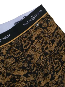 Lot de 2 boxers classiques en coton multicolores avec logo de la marque