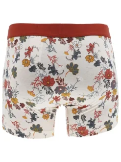 Lot de 2 boxers classiques en coton multicolores fleuris à ceinture élastiquée