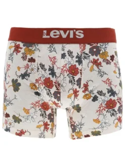 Lot de 2 boxers classiques en coton multicolores fleuris à ceinture élastiquée