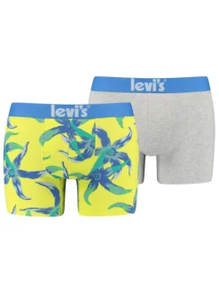 Lot de 2 Boxers classiques multicolores en coton fantaisie ultra confortable