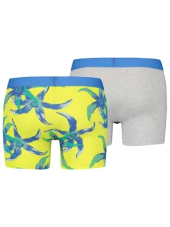 Lot de 2 Boxers classiques multicolores en coton fantaisie ultra confortable