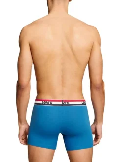 Lot de 3 boxers courts multicolores en coton avec ceinture élastiquée