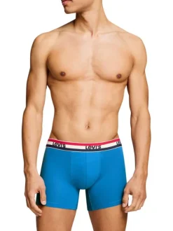 Lot de 3 boxers courts multicolores en coton avec ceinture élastiquée