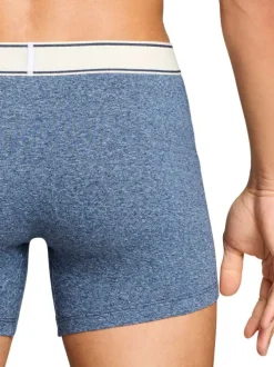 Lot de 2 boxers en coton bleus pourvus de ceintures élastiquées