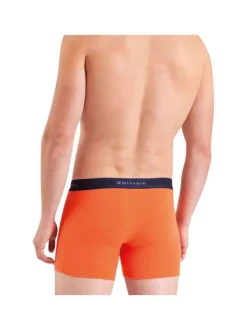 Lot de 2 boxers en coton multicolores unis avec une coupe fermée
