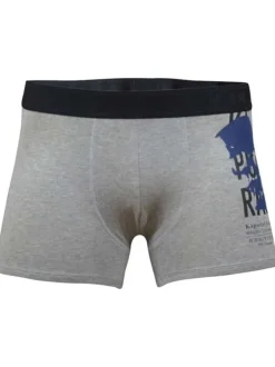 Lot de deux boxers classiques en coton biologique mélangé uni gris et marine à ceinture élastiquée