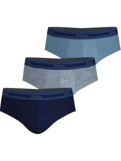 Lot de 3 slips en coton tricolore avec une coupe fermée à taille élastiquée