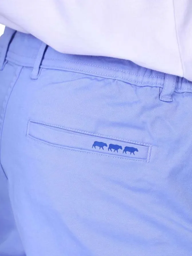 Pantalon chino en coton bleu ciel uni avec une coupe ajustée