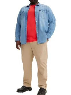 Pantalon Chino en coton stretch beige uni, coupe ajustée et taille élastiquée