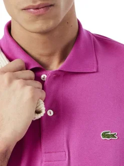 Polo en coton fuchsia uni avec une coupe regular fit et le petit crocodile brodé