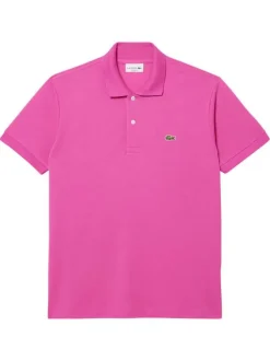 Polo en coton fuchsia uni avec une coupe regular fit et le petit crocodile brodé