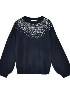 Pull marine à sequins avec une coupe droite, col rond et à manches longues