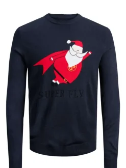 Pull homme bleu