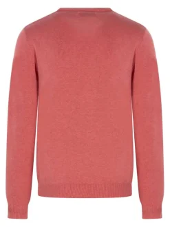 Pull manches longues en coton corail à maille jersey avec une coupe droite