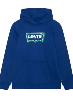 Sweat à capuche bleu uni avec logo de la marque floqué en vert et blanc