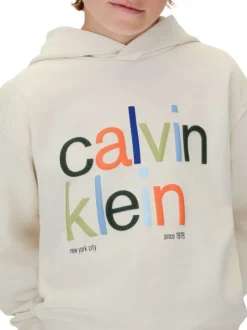Sweat à capuche en coton écru uni à coupe droite avec le nom de la marque