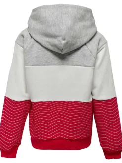 Sweat à capuche tricolore avec une coupe droite et à motifs chevrons