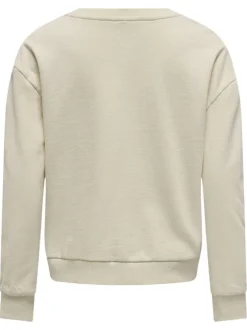 Sweat beige à imprimé léopard avec une coupe droite, col rond et manches longues