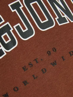 Sweat brique à manches longues uni avec un col à capuche et une coupe droite