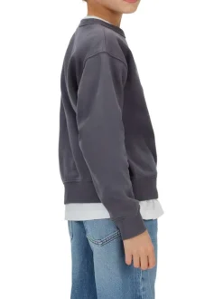 Sweat en coton anthracite uni avec une coupe droite et un col rond