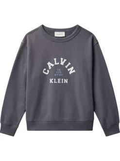 Sweat en coton anthracite uni avec une coupe droite et un col rond
