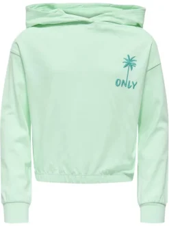 Sweat en coton biologique vert d'eau uni pourvu de manches longues