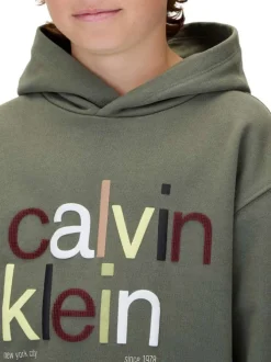 Sweat en coton kaki coupe ajustée avec un col à capuche et un imprimé