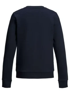 Sweat garçon bleu