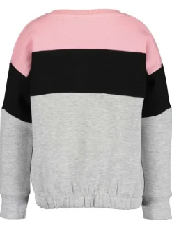 Sweat gris en coton fantaisie col rond