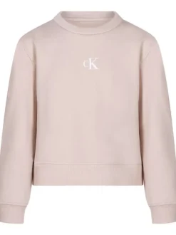 Sweat lilas uni avec une coupe droite, un col rond de logo de la marque