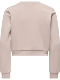 Sweat rose uni avec une coupe droite à col rond et des manches longues