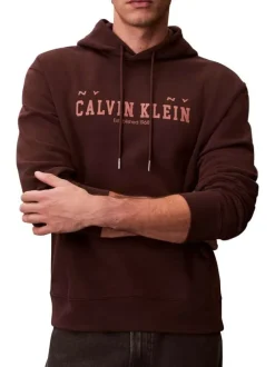 Sweat en coton brun uni avec une coupe droite et une capuche