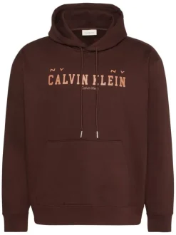Sweat en coton brun uni avec une coupe droite et une capuche
