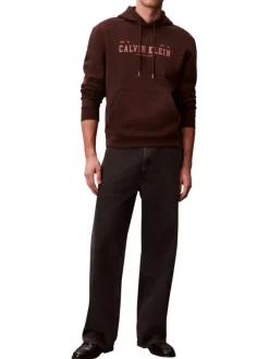Sweat en coton brun uni avec une coupe droite et une capuche