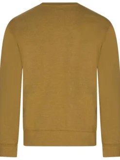 Sweat en coton camel uni avec une coupe droite et un col rond