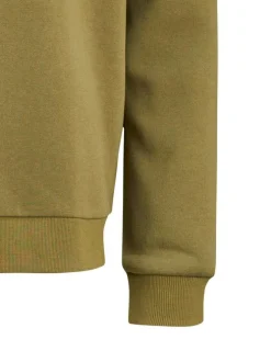 Sweat Grande Taille en coton mélangé olive uni coupe droite col à capuche
