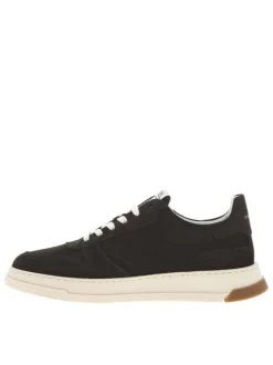 Tennis en cuir nubuck chocolat à talon plat avec des lacets blancs